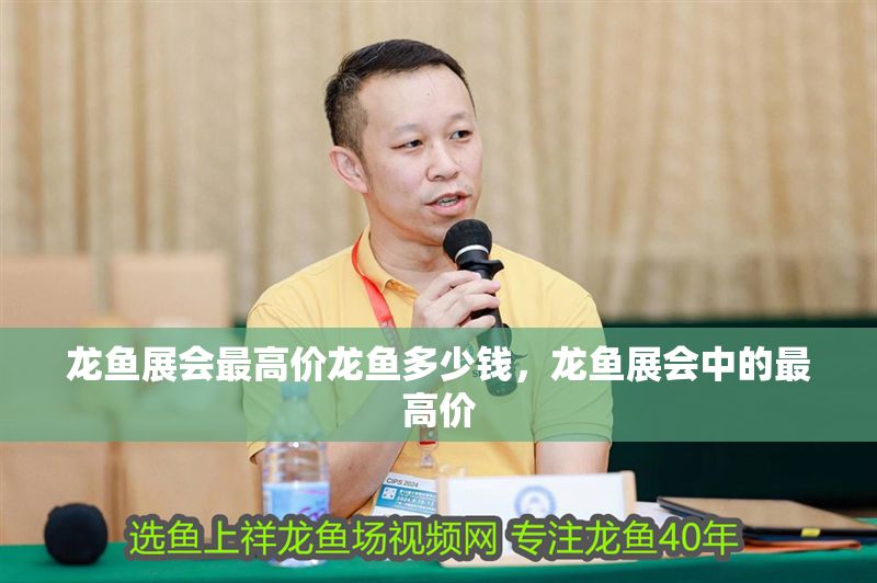 龍魚展會最高價龍魚多少錢，龍魚展會中的最高價
