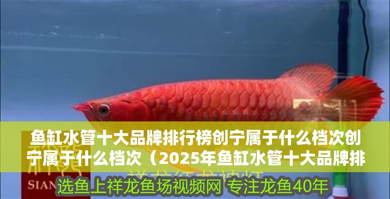 魚缸水管十大品牌排行榜創寧屬于什么檔次創寧屬于什么檔次（2025年魚缸水管十大品牌排行榜創寧屬于什么檔次）