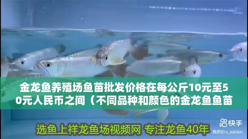 金龍魚養殖場魚苗批發價格在每公斤10元至50元人民幣之間（不同品種和顏色的金龍魚魚苗批發價格） 金龍魚養殖場魚苗批發價格在每公斤10元至50元人民幣之間（不同品種和顏色的金龍魚魚苗批發價格） 觀賞魚百科 第2張