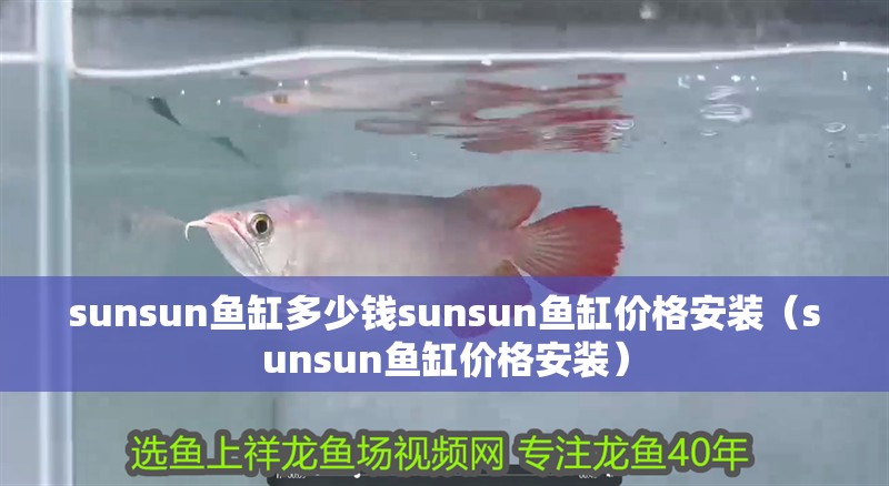 sunsun魚缸多少錢sunsun魚缸價格安裝（sunsun魚缸價格安裝）