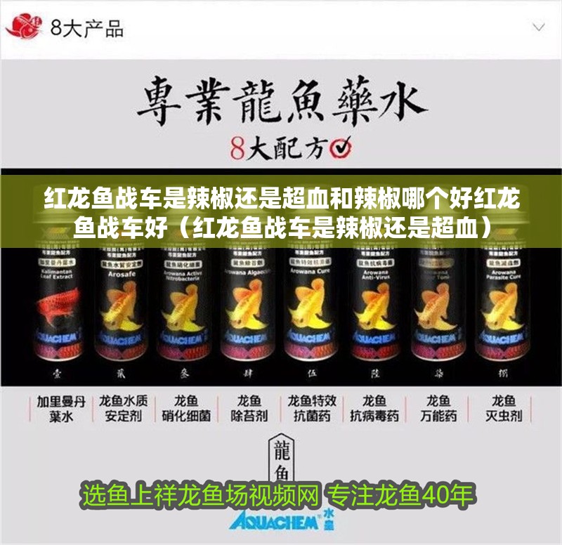 紅龍魚戰(zhàn)車是辣椒還是超血和辣椒哪個好紅龍魚戰(zhàn)車好（紅龍魚戰(zhàn)車是辣椒還是超血）
