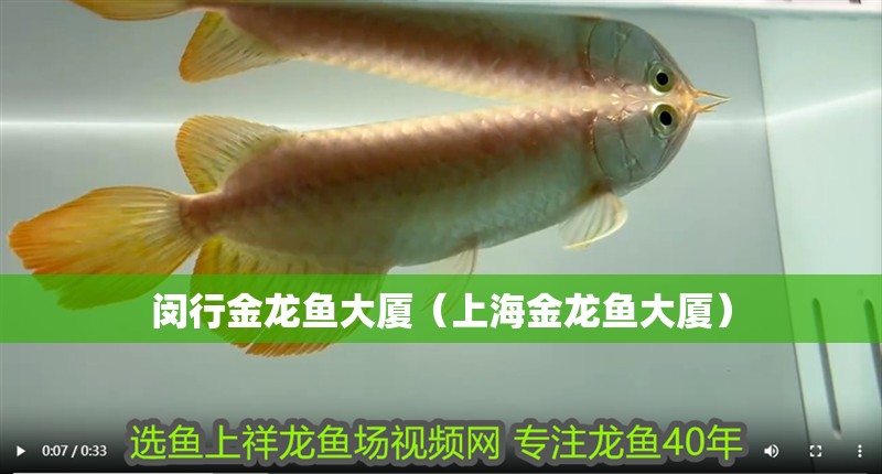 閔行金龍魚大廈（上海金龍魚大廈）