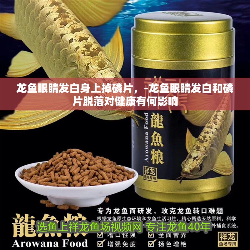 龍魚眼睛發白身上掉磷片，-龍魚眼睛發白和磷片脫落對健康有何影響