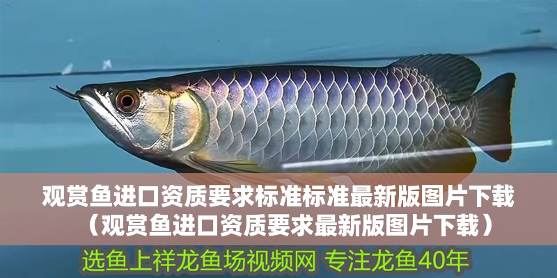 觀賞魚進口資質要求標準標準最新版圖片下載（觀賞魚進口資質要求最新版圖片下載）