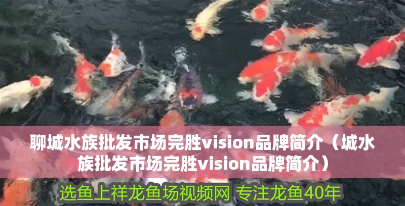 聊城水族批發市場完勝vision品牌簡介（城水族批發市場完勝vision品牌簡介）