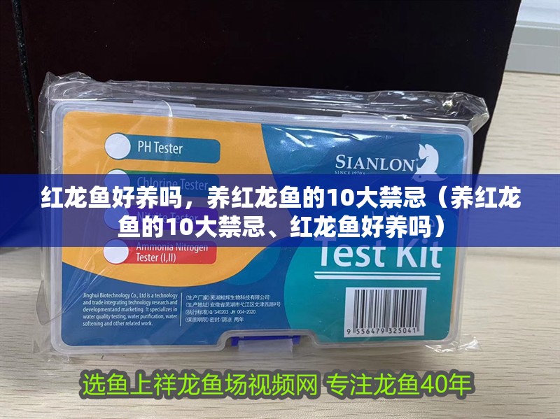 紅龍魚好養嗎，養紅龍魚的10大禁忌（養紅龍魚的10大禁忌、紅龍魚好養嗎）