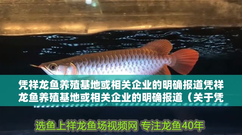 憑祥龍魚養殖基地或相關企業的明確報道憑祥龍魚養殖基地或相關企業的明確報道（關于憑祥龍魚養殖業的詳細介紹）