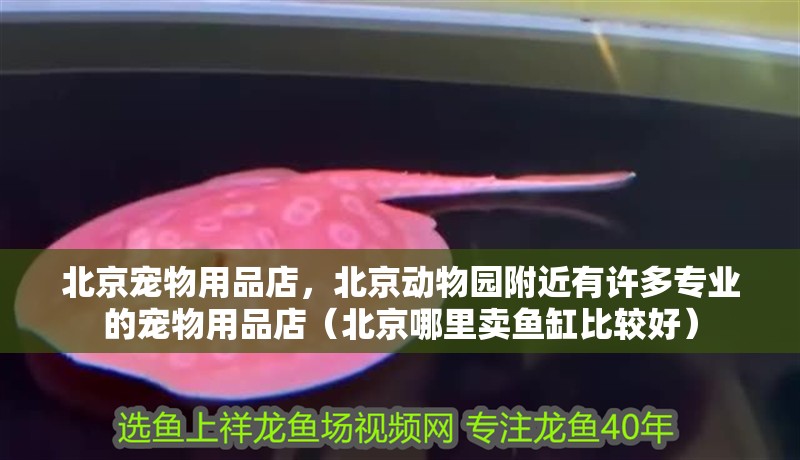 北京寵物用品店，北京動物園附近有許多專業的寵物用品店（北京哪里賣魚缸比較好）