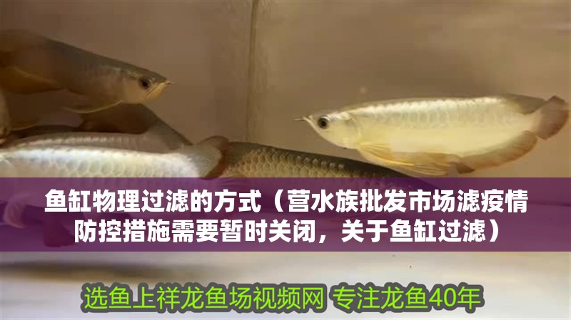 魚(yú)缸物理過(guò)濾的方式（營(yíng)水族批發(fā)市場(chǎng)濾疫情防控措施需要暫時(shí)關(guān)閉，關(guān)于魚(yú)缸過(guò)濾）