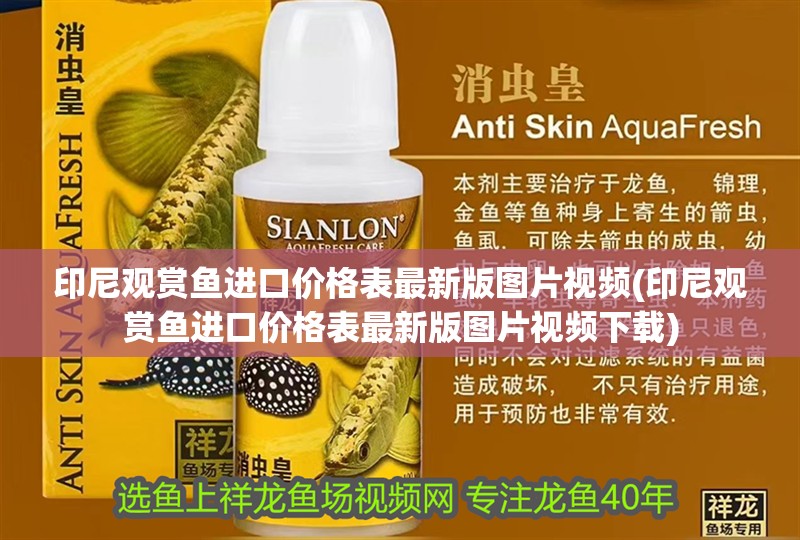 印尼觀賞魚進口價格表最新版圖片視頻(印尼觀賞魚進口價格表最新版圖片視頻下載)