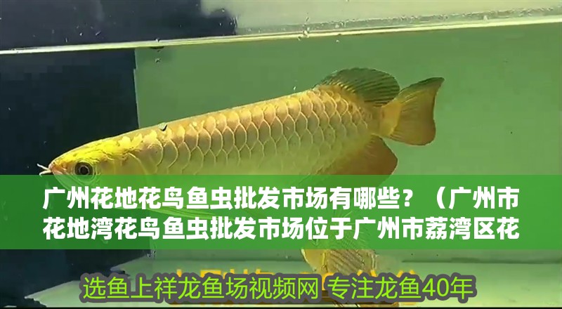 廣州花地花鳥魚蟲批發市場有哪些？（廣州市花地灣花鳥魚蟲批發市場位于廣州市荔灣區花地灣的花地灣）