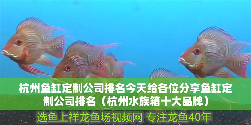 杭州魚缸定制公司排名今天給各位分享魚缸定制公司排名（杭州水族箱十大品牌） 杭州魚缸定制公司排名今天給各位分享魚缸定制公司排名（杭州水族箱十大品牌） 觀賞魚百科 第2張
