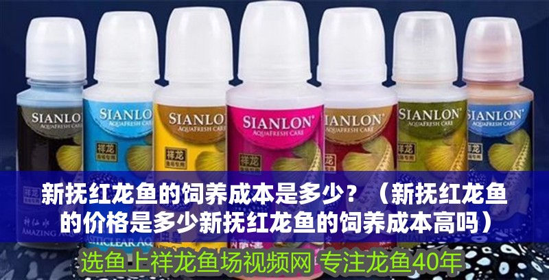 新撫紅龍魚的飼養成本是多少？（新撫紅龍魚的價格是多少新撫紅龍魚的飼養成本高嗎）