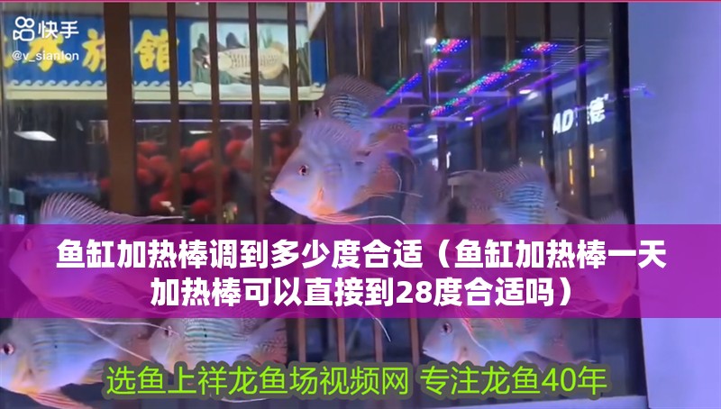 魚缸加熱棒調到多少度合適（魚缸加熱棒一天加熱棒可以直接到28度合適嗎）