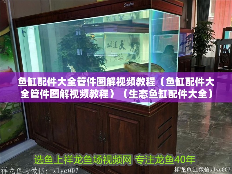 魚缸配件大全管件圖解視頻教程（魚缸配件大全管件圖解視頻教程）（生態魚缸配件大全）