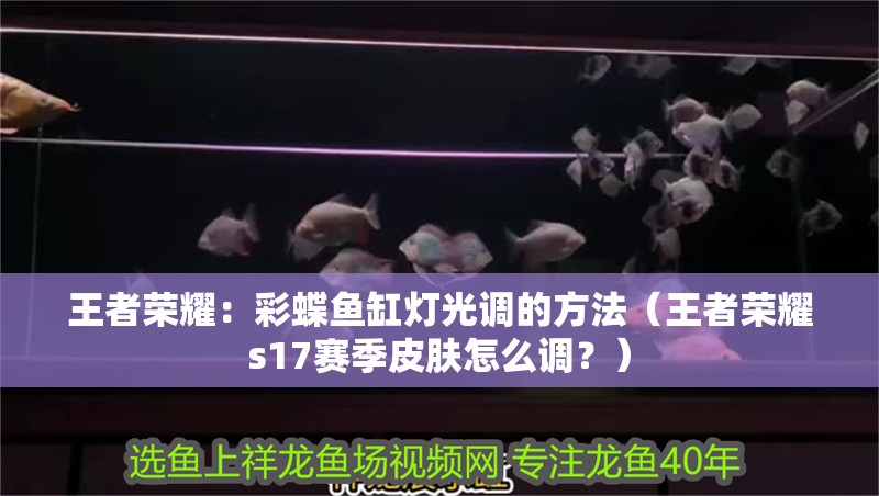 王者榮耀：彩蝶魚缸燈光調的方法（王者榮耀s17賽季皮膚怎么調？）