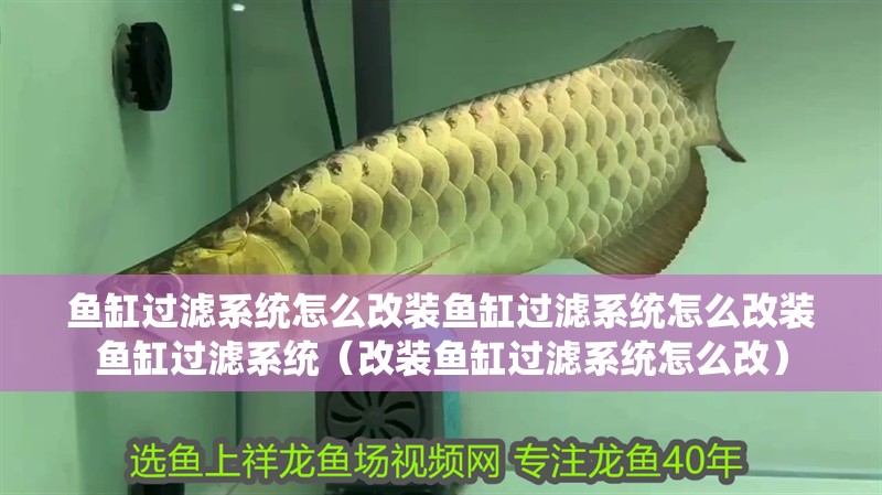 魚缸過濾系統怎么改裝魚缸過濾系統怎么改裝魚缸過濾系統（改裝魚缸過濾系統怎么改）