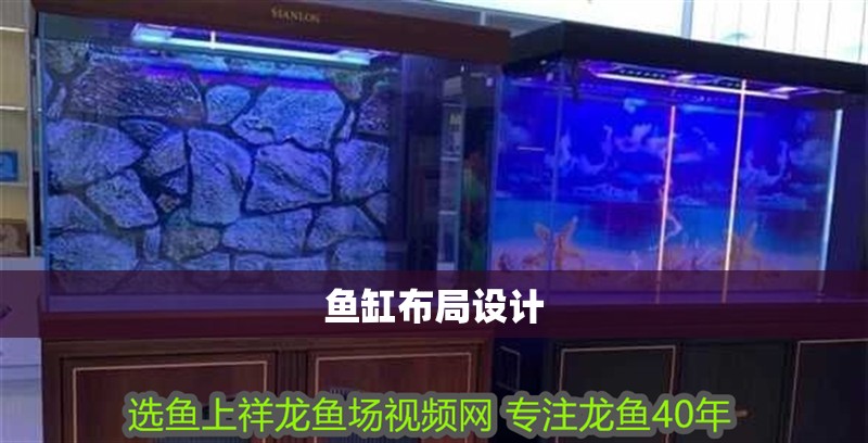 魚缸布局設計