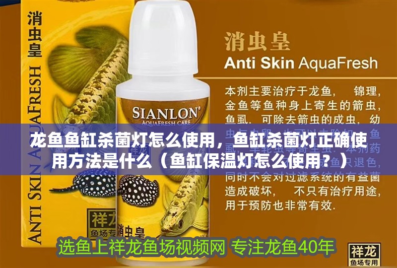 龍魚魚缸殺菌燈怎么使用，魚缸殺菌燈正確使用方法是什么（魚缸保溫燈怎么使用？）