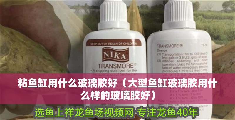 粘魚缸用什么玻璃膠好（大型魚缸玻璃膠用什么樣的玻璃膠好）