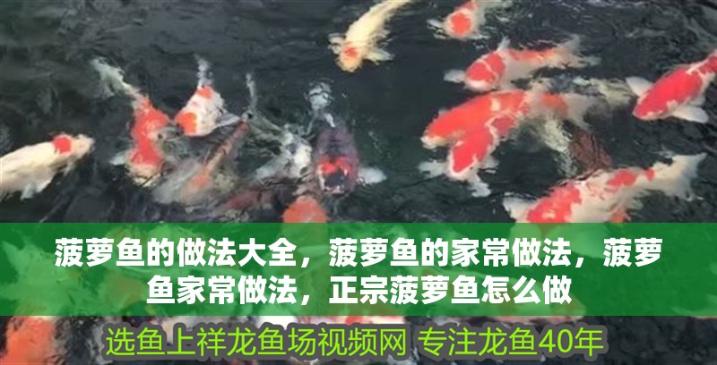 菠蘿魚的做法大全，菠蘿魚的家常做法，菠蘿魚家常做法，正宗菠蘿魚怎么做