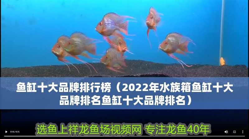 魚缸十大品牌排行榜（2022年水族箱魚缸十大品牌排名魚缸十大品牌排名）