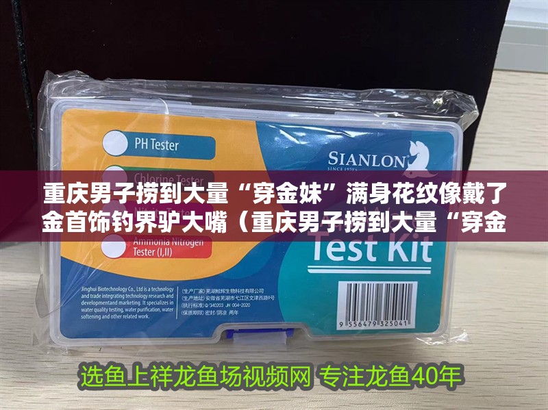 重慶男子撈到大量“穿金妹”滿身花紋像戴了金首飾釣界驢大嘴（重慶男子撈到大量“穿金妹”）