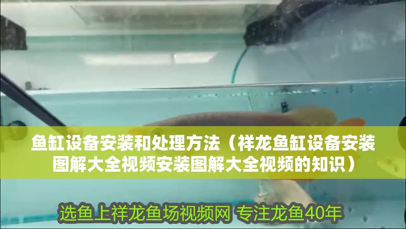 魚缸設備安裝和處理方法（祥龍魚缸設備安裝圖解大全視頻安裝圖解大全視頻的知識）