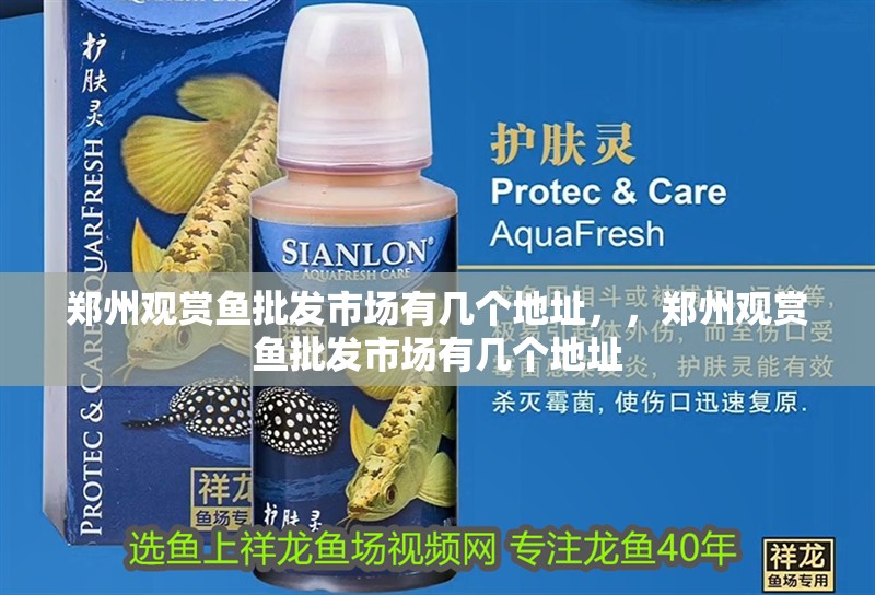 鄭州觀賞魚批發市場有幾個地址，，鄭州觀賞魚批發市場有幾個地址