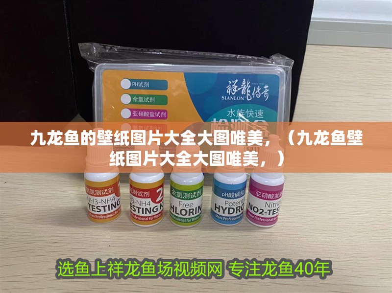 九龍魚的壁紙圖片大全大圖唯美，（九龍魚壁紙圖片大全大圖唯美，）