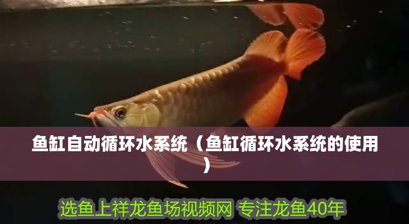 魚缸自動循環水系統（魚缸循環水系統的使用）