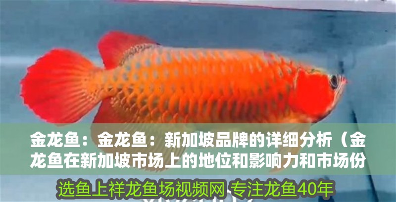 金龍魚：金龍魚：新加坡品牌的詳細分析（金龍魚在新加坡市場上的地位和影響力和市場份額持續增長）