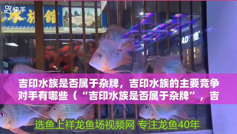 吉印水族是否屬于雜牌，吉印水族的主要競爭對手有哪些（“吉印水族是否屬于雜牌”，吉印水族的主要競爭對手有哪些）