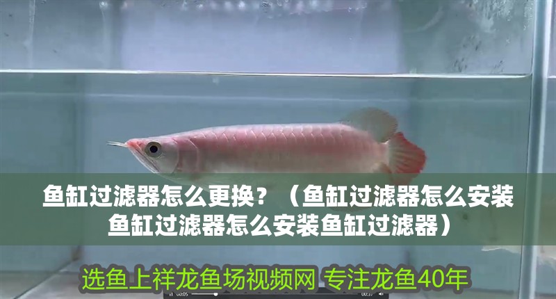 魚缸過濾器怎么更換？（魚缸過濾器怎么安裝魚缸過濾器怎么安裝魚缸過濾器）