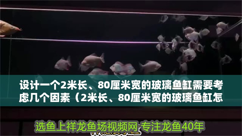 設(shè)計(jì)一個(gè)2米長(zhǎng)、80厘米寬的玻璃魚(yú)缸需要考慮幾個(gè)因素（2米長(zhǎng)、80厘米寬的玻璃魚(yú)缸怎么設(shè)計(jì)）