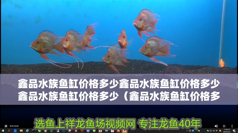 鑫品水族魚缸價格多少鑫品水族魚缸價格多少鑫品水族魚缸價格多少（鑫品水族魚缸價格多少）