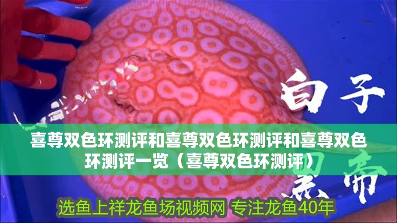 喜尊雙色環(huán)測評和喜尊雙色環(huán)測評和喜尊雙色環(huán)測評一覽（喜尊雙色環(huán)測評）