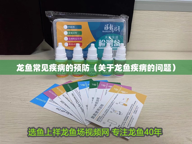 龍魚常見疾病的預(yù)防（關(guān)于龍魚疾病的問題）