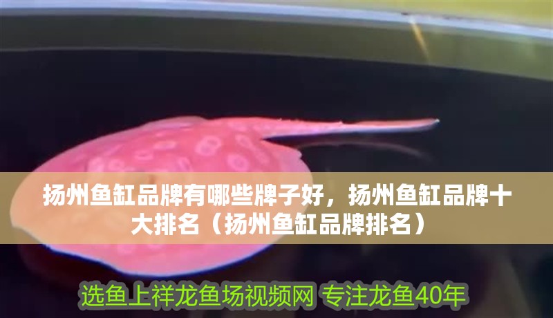 揚州魚缸品牌有哪些牌子好，揚州魚缸品牌十大排名（揚州魚缸品牌排名）