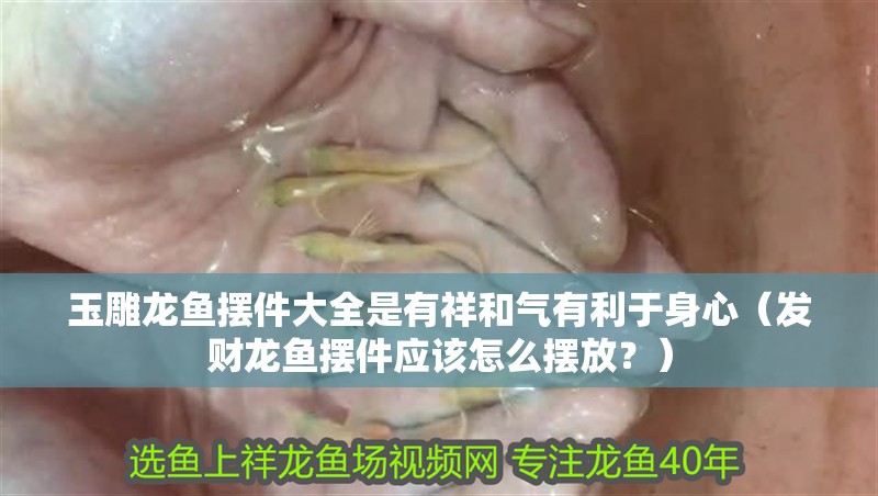 玉雕龍魚擺件大全是有祥和氣有利于身心（發財龍魚擺件應該怎么擺放？）