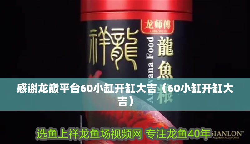 感謝龍巔平臺60小缸開缸大吉（60小缸開缸大吉）
