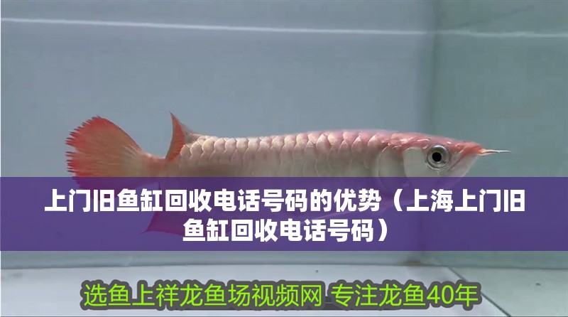 上門舊魚缸回收電話號碼的優勢（上海上門舊魚缸回收電話號碼）