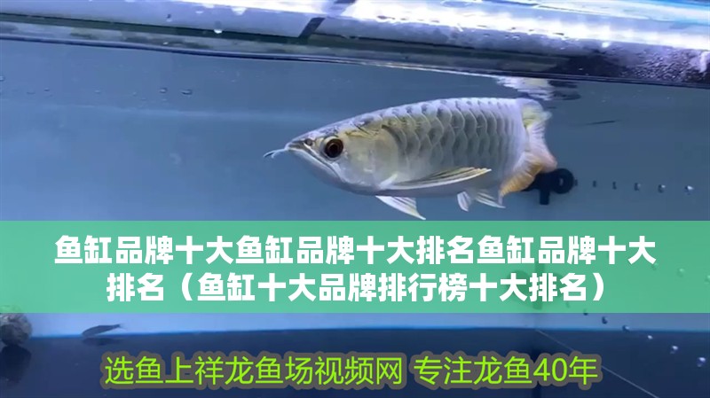 魚缸品牌十大魚缸品牌十大排名魚缸品牌十大排名（魚缸十大品牌排行榜十大排名）