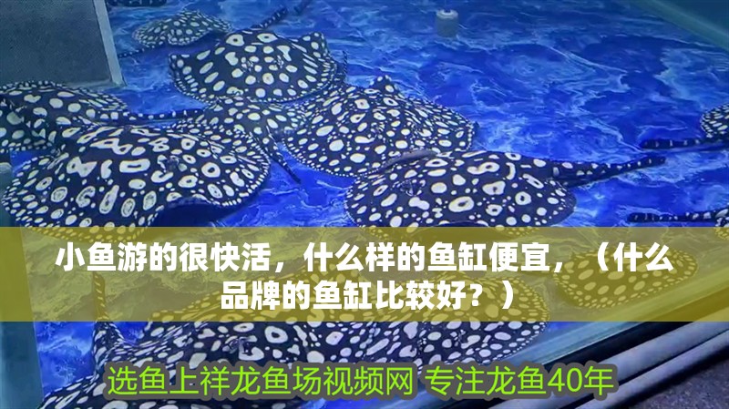 小魚游的很快活，什么樣的魚缸便宜，（什么品牌的魚缸比較好？）