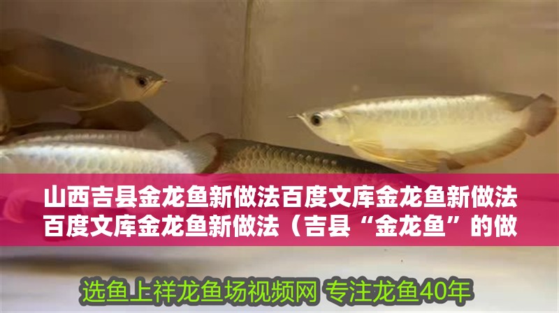 山西吉縣金龍魚新做法百度文庫金龍魚新做法百度文庫金龍魚新做法（吉縣“金龍魚”的做法）