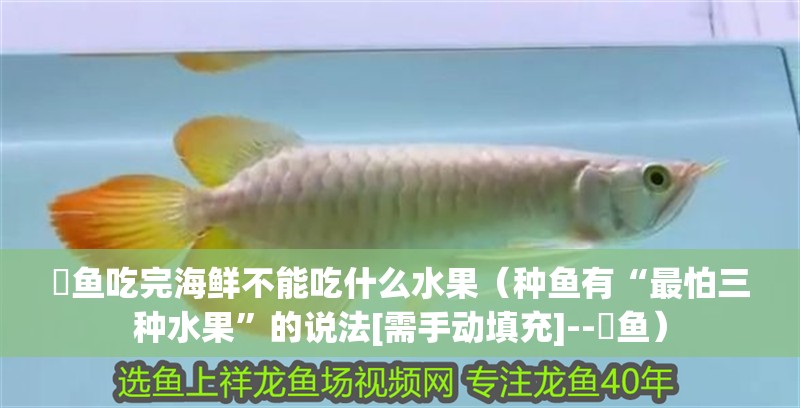 魟魚吃完海鮮不能吃什么水果（種魚有“最怕三種水果”的說法[需手動(dòng)填充]--魟魚）