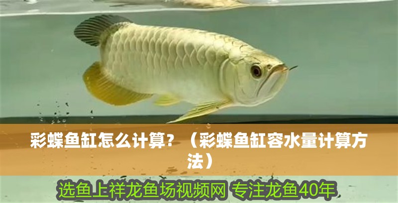 彩蝶魚缸怎么計算？（彩蝶魚缸容水量計算方法）