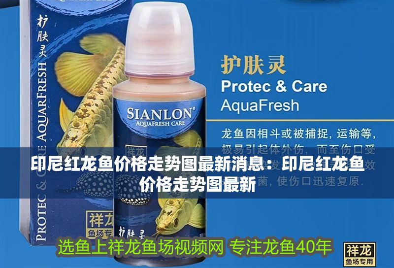 印尼紅龍魚價格走勢圖最新消息：印尼紅龍魚價格走勢圖最新