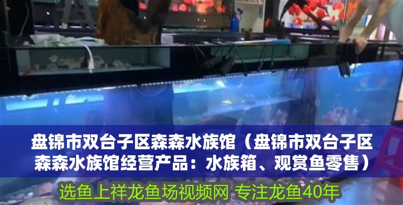 盤(pán)錦市雙臺(tái)子區(qū)森森水族館（盤(pán)錦市雙臺(tái)子區(qū)森森水族館經(jīng)營(yíng)產(chǎn)品：水族箱、觀(guān)賞魚(yú)零售）