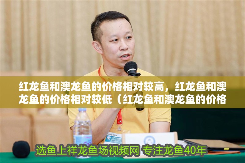 紅龍魚和澳龍魚的價格相對較高，紅龍魚和澳龍魚的價格相對較低（紅龍魚和澳龍魚的價格）